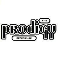 The Prodigy : Experience